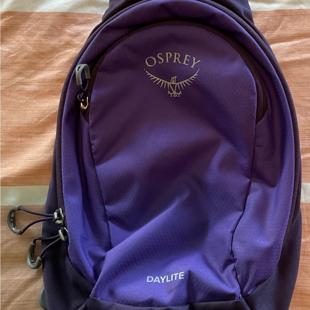Osprey Daylite Backpack in Rich Purple